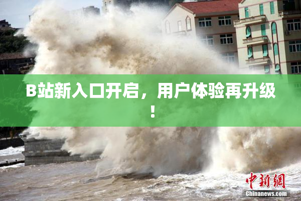 B站新入口开启，用户体验再升级！