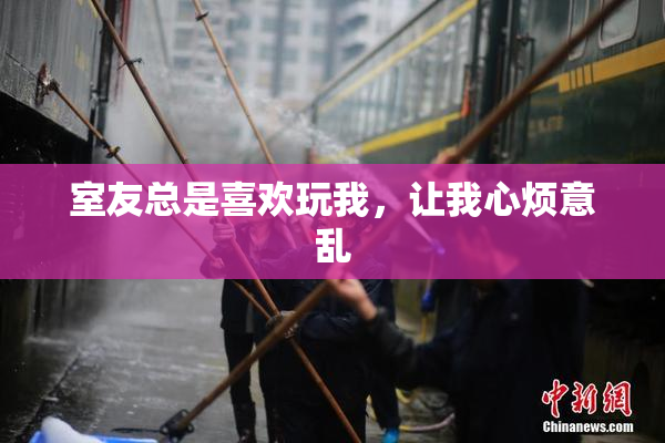 室友总是喜欢玩我，让我心烦意乱