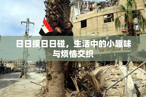 日日摸日日碰，生活中的小趣味与烦恼交织