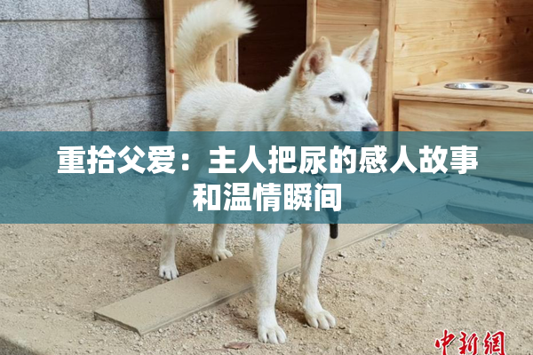 重拾父爱：主人把尿的感人故事和温情瞬间