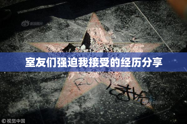 室友们强迫我接受的经历分享