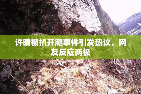 许晴被扒开腿事件引发热议，网友反应两极