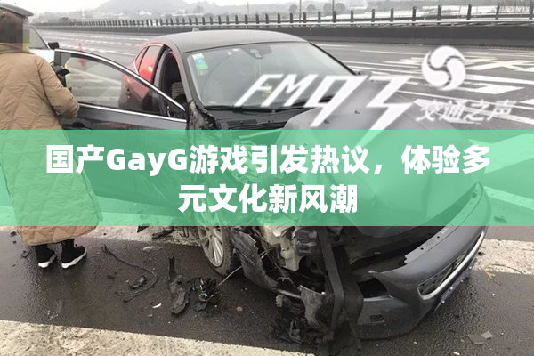 国产GayG游戏引发热议，体验多元文化新风潮