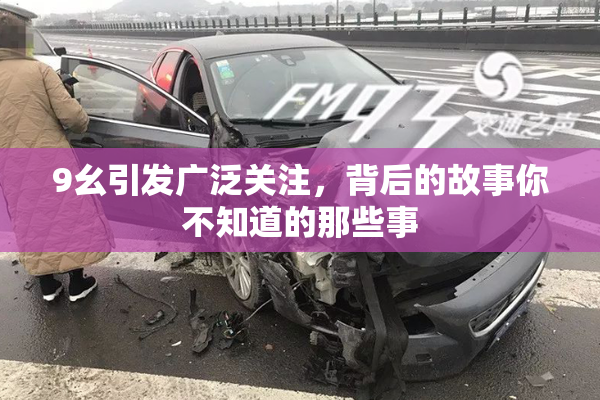 9幺引发广泛关注，背后的故事你不知道的那些事