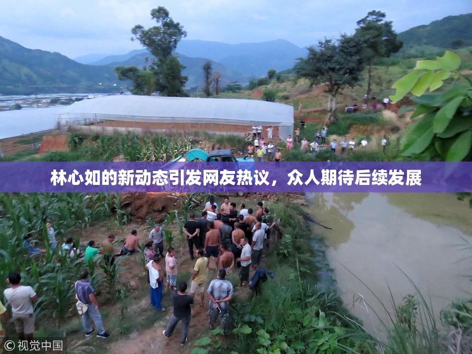 林心如的新动态引发网友热议，众人期待后续发展