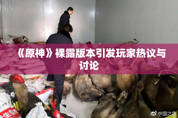 《原神》裸露版本引发玩家热议与讨论