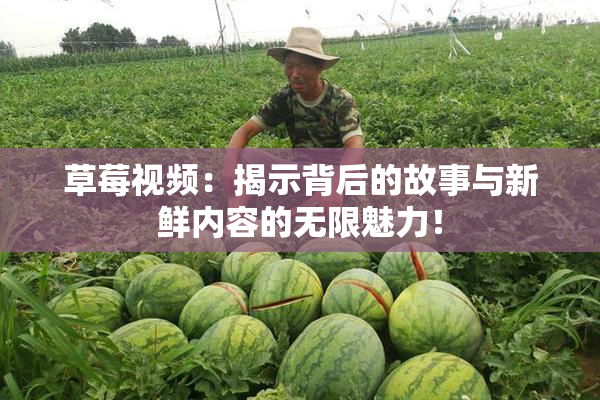 草莓视频：揭示背后的故事与新鲜内容的无限魅力！