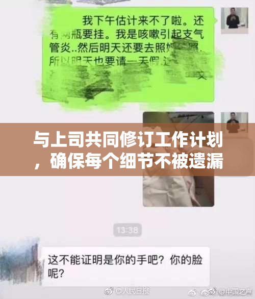 与上司共同修订工作计划，确保每个细节不被遗漏。