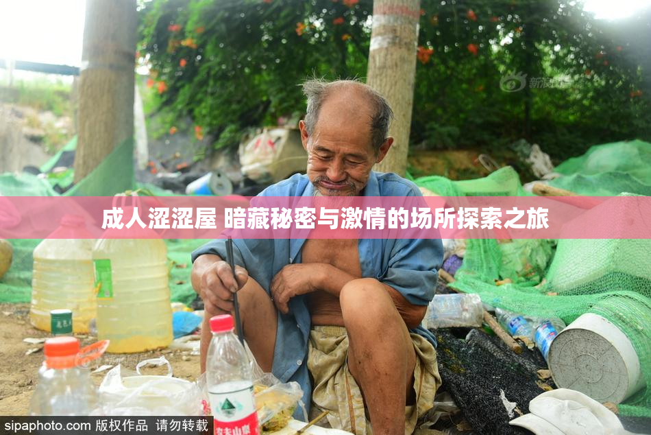 成人涩涩屋 暗藏秘密与激情的场所探索之旅