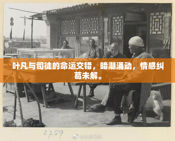 叶凡与司徒的命运交错，暗潮涌动，情感纠葛未解。