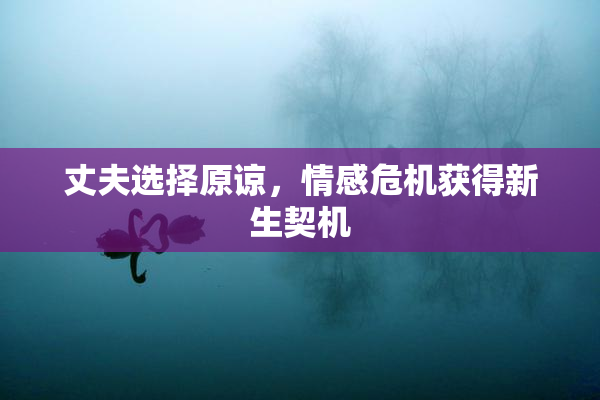 丈夫选择原谅，情感危机获得新生契机