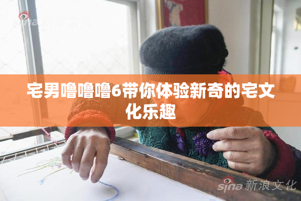 宅男噜噜噜6带你体验新奇的宅文化乐趣