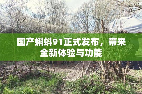 国产蝌蚪91正式发布，带来全新体验与功能