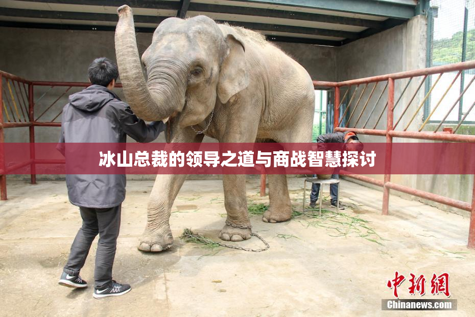 冰山总裁的领导之道与商战智慧探讨