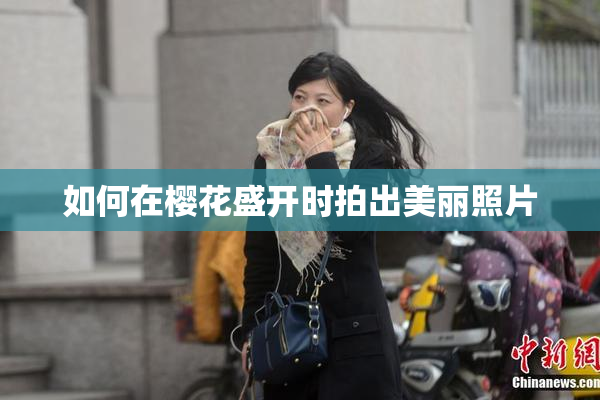 如何在樱花盛开时拍出美丽照片