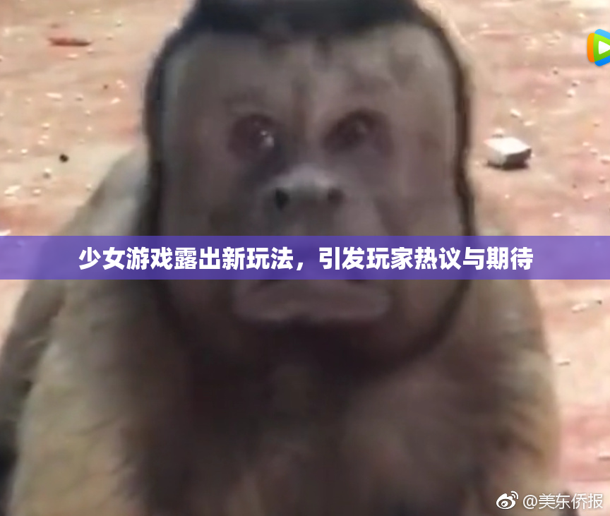 少女游戏露出新玩法，引发玩家热议与期待