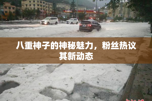 八重神子的神秘魅力，粉丝热议其新动态