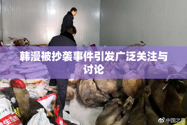 韩漫被抄袭事件引发广泛关注与讨论