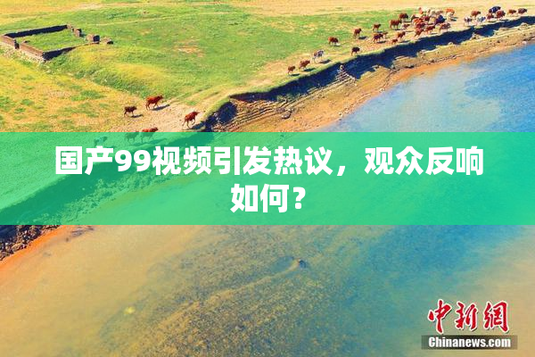 国产99视频引发热议，观众反响如何？
