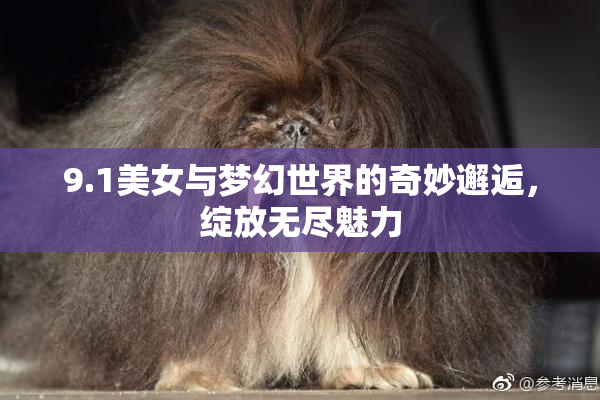 9.1美女与梦幻世界的奇妙邂逅，绽放无尽魅力