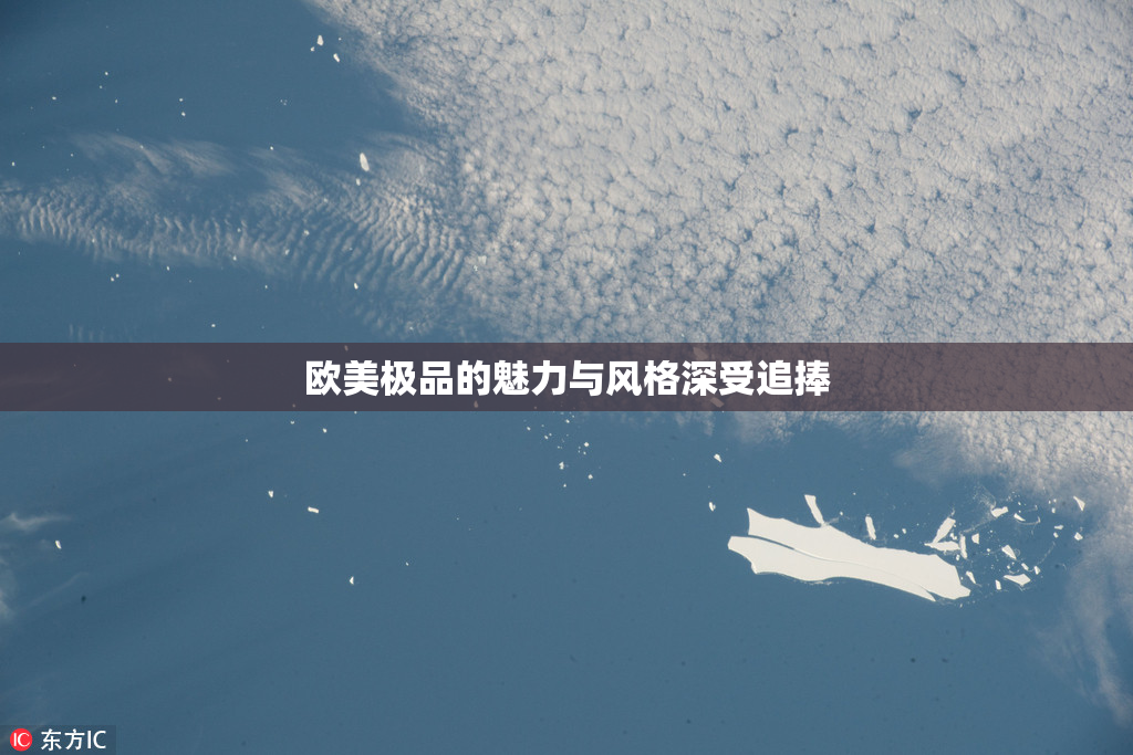 欧美极品的魅力与风格深受追捧