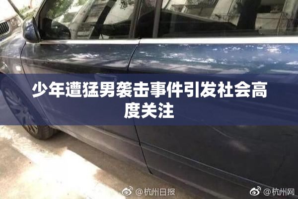 少年遭猛男袭击事件引发社会高度关注