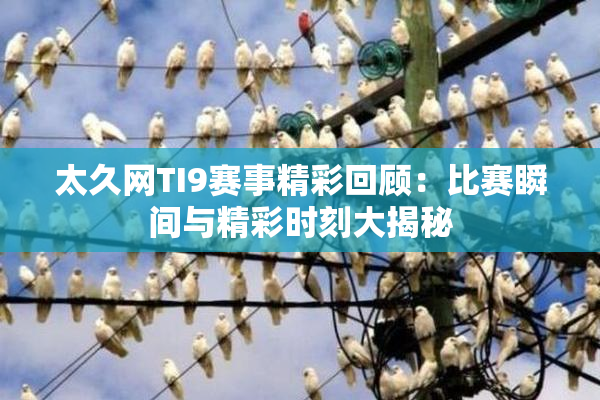 太久网TI9赛事精彩回顾：比赛瞬间与精彩时刻大揭秘