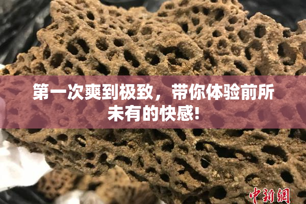 第一次爽到极致，带你体验前所未有的快感!