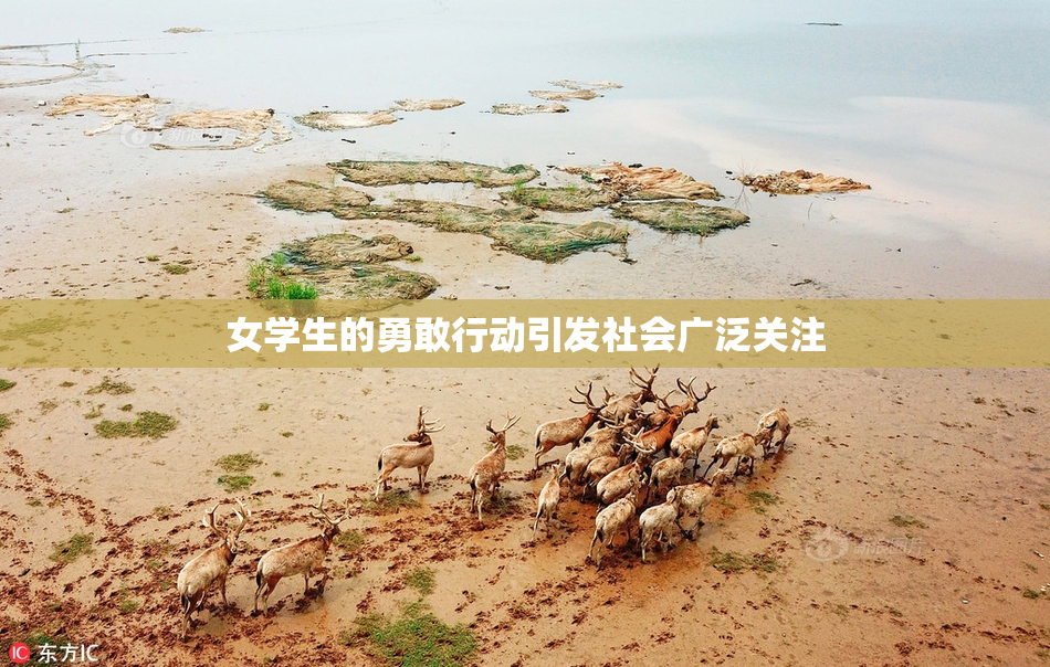 女学生的勇敢行动引发社会广泛关注
