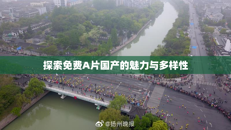 探索免费A片国产的魅力与多样性