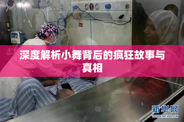 深度解析小舞背后的疯狂故事与真相