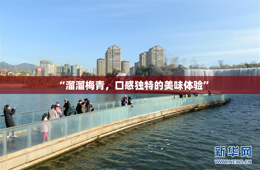 “溜溜梅青，口感独特的美味体验”