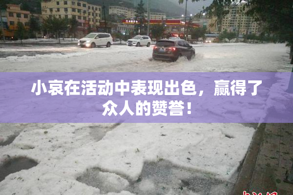 小哀在活动中表现出色，赢得了众人的赞誉！