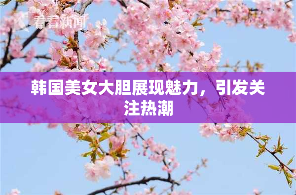 韩国美女大胆展现魅力，引发关注热潮