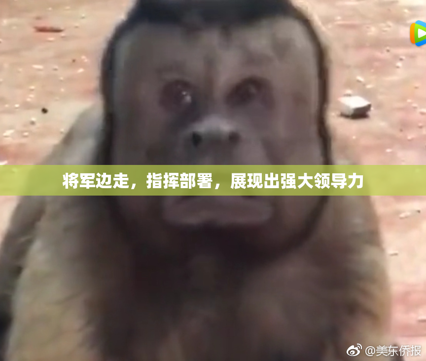 将军边走，指挥部署，展现出强大领导力