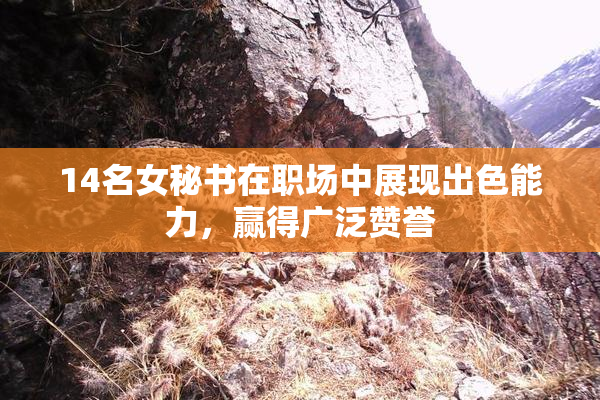14名女秘书在职场中展现出色能力，赢得广泛赞誉
