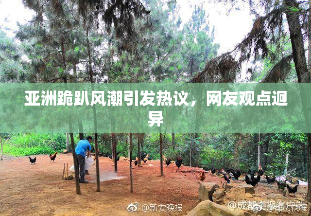 亚洲跪趴风潮引发热议，网友观点迥异