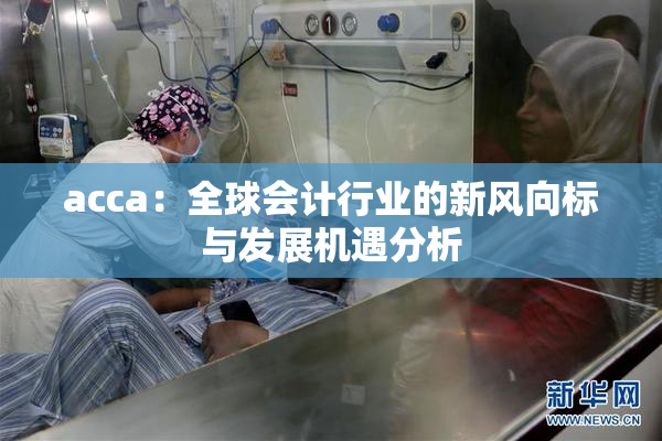 acca：全球会计行业的新风向标与发展机遇分析