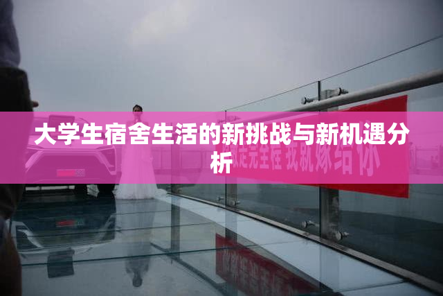 大学生宿舍生活的新挑战与新机遇分析