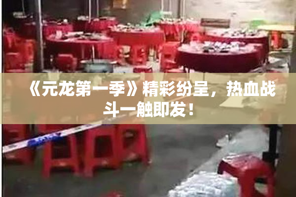 《元龙第一季》精彩纷呈，热血战斗一触即发！
