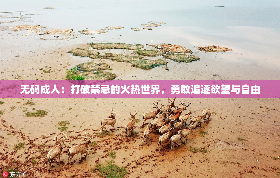 无码成人：打破禁忌的火热世界，勇敢追逐欲望与自由