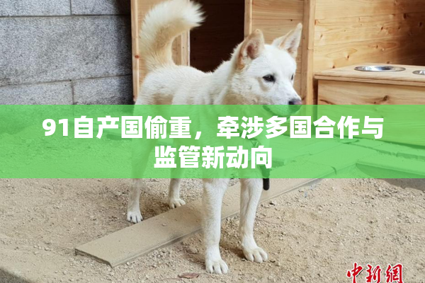 91自产国偷重，牵涉多国合作与监管新动向