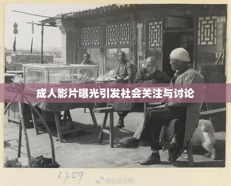 成人影片曝光引发社会关注与讨论