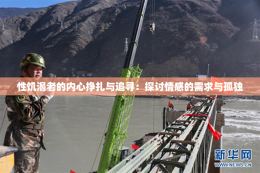 性饥渴老的内心挣扎与追寻：探讨情感的需求与孤独