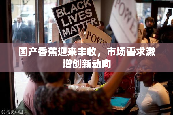 国产香蕉迎来丰收，市场需求激增创新动向