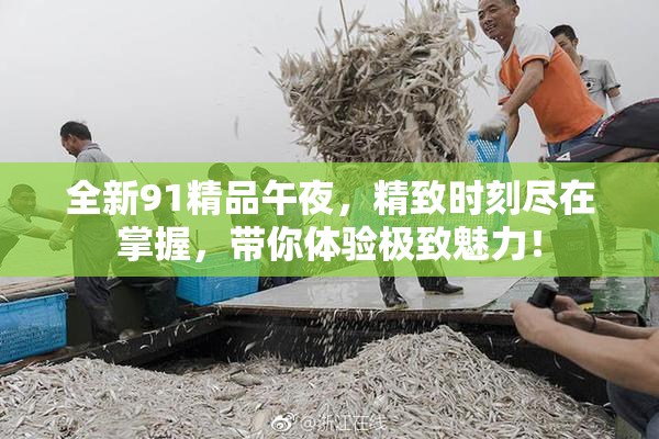 全新91精品午夜，精致时刻尽在掌握，带你体验极致魅力！