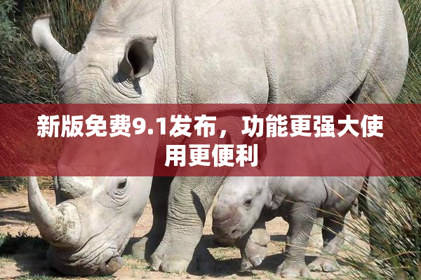 新版免费9.1发布，功能更强大使用更便利