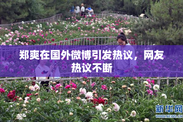 郑爽在国外微博引发热议，网友热议不断