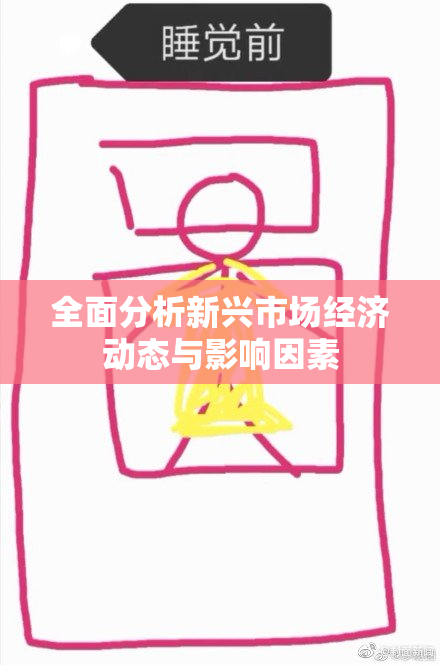 全面分析新兴市场经济动态与影响因素