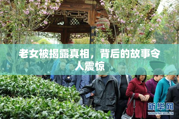 老女被揭露真相，背后的故事令人震惊